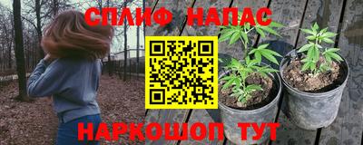 мяу мяу мука Краснознаменск