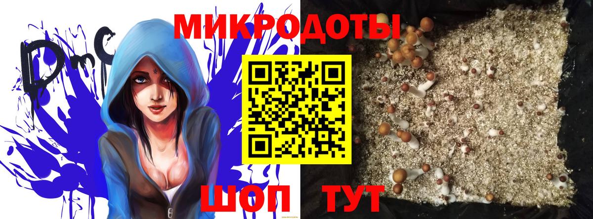Галлюциногенные грибы прущие грибы  Галлюциногенные грибы Magic Shrooms  наркошоп  Вход с VPN  Касимов 