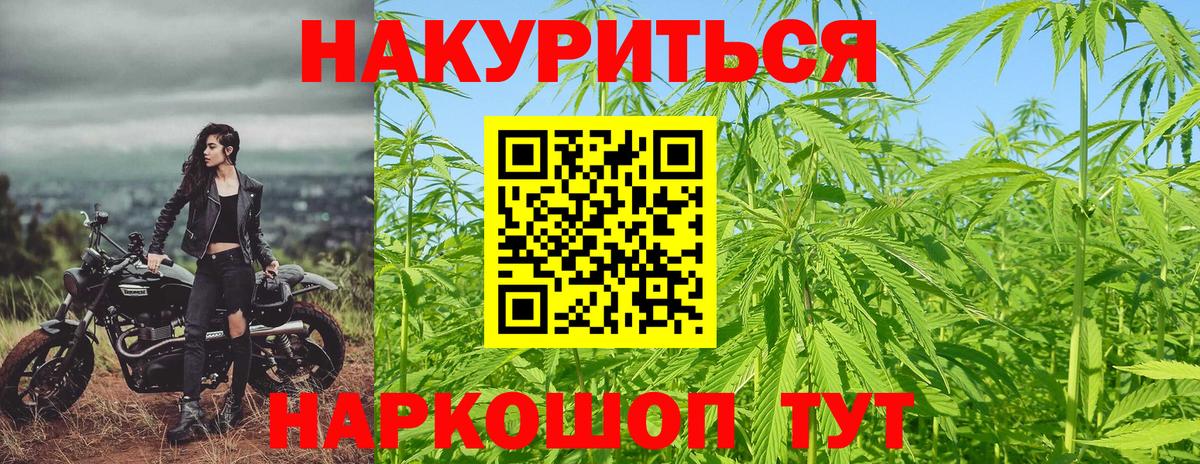 Канабис гибрид Касимов